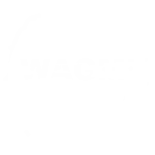 WAGMI Ventures